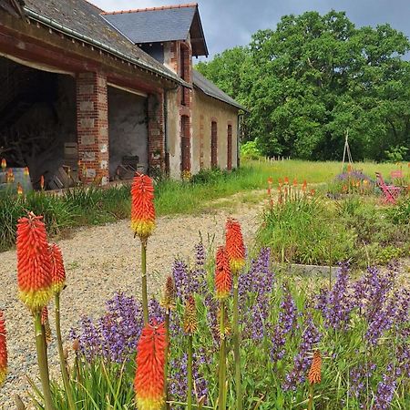 Ecolodges De Loire & Spa Gennes-Val-de-Loire Dış mekan fotoğraf