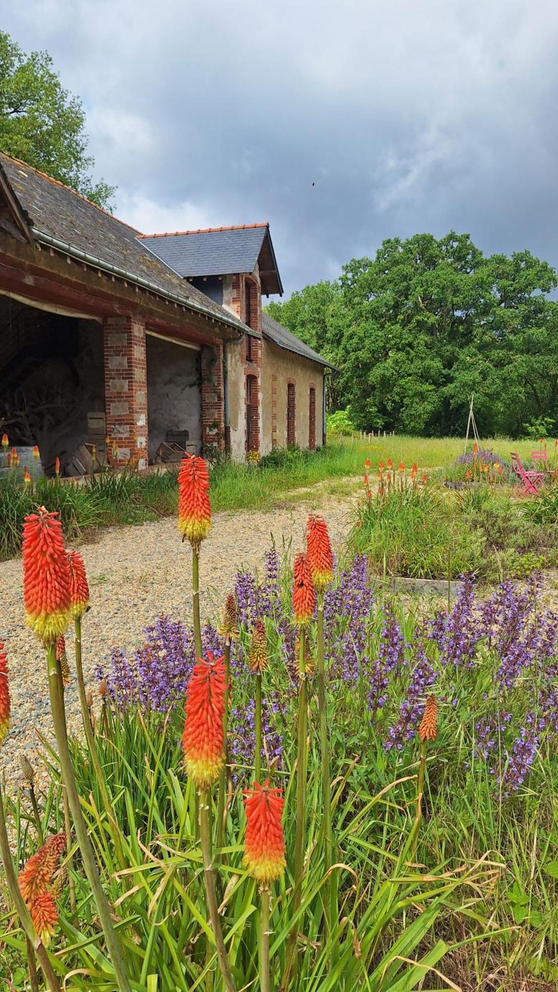 Ecolodges De Loire & Spa Gennes-Val-de-Loire Dış mekan fotoğraf